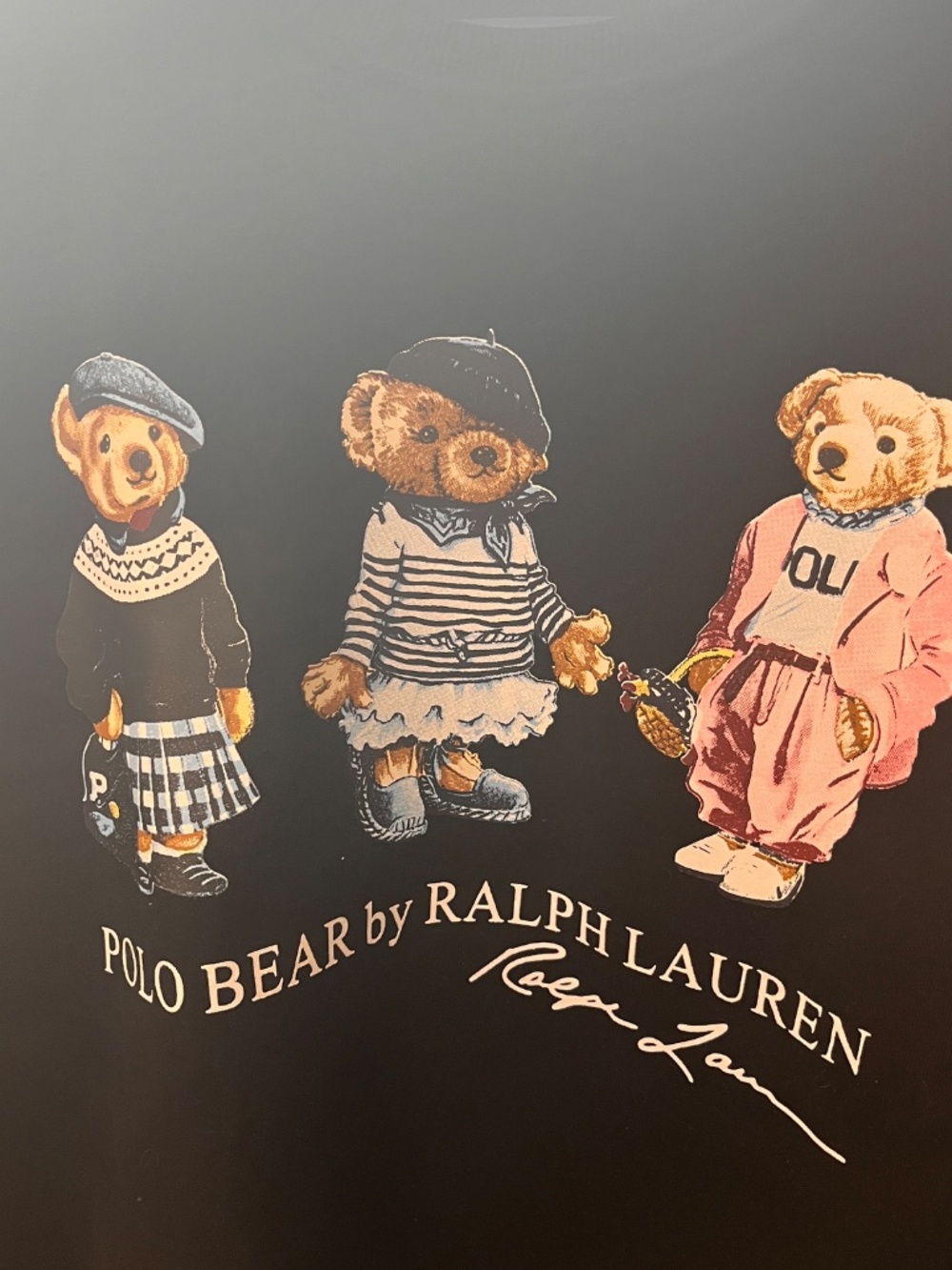 POLO RL Sweatshirt - Picture 4 of 6
